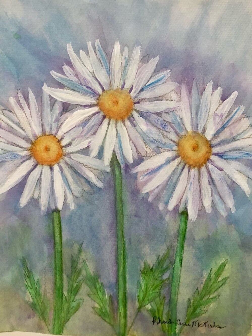 Daisies in the Garden watercolor Painting